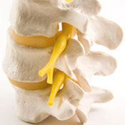 about_chiropractic.jpg