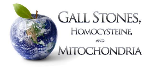 GALL STONES, HOMOCYSTEINE, AND MITOCHONDRIA
