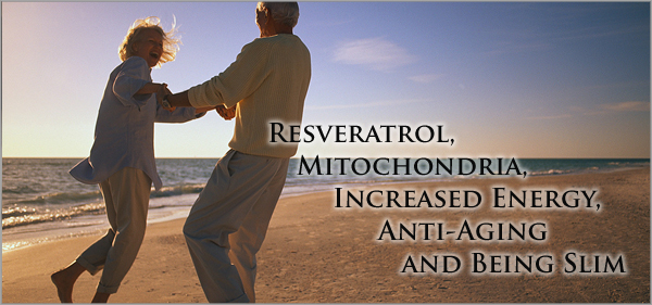 Resveratrol, Mitochondria, Increased Energy, Anti Aging and Being Slim